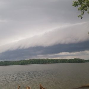 Meet your Posher, Patti